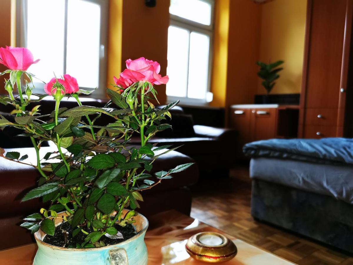 Lehel Apartman Keszthely Bagian luar foto